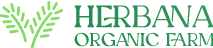 Herbana Organic Farm